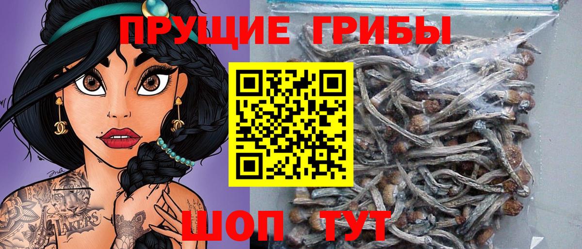 Псилоцибиновые грибы мухоморы Петропавловск-Камчатский