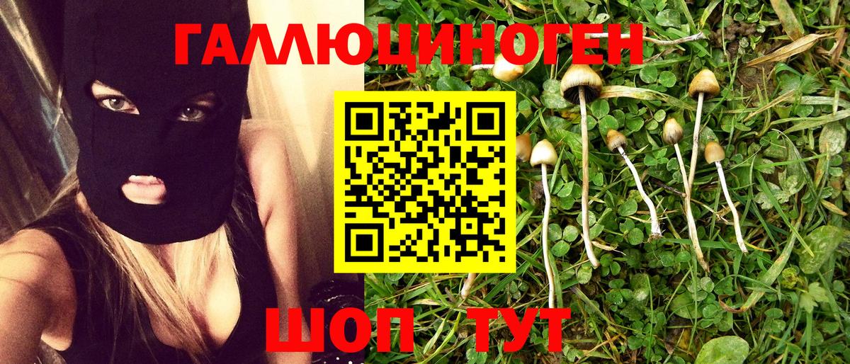 Петропавловск-Камчатский  Псилоцибиновые грибы GOLDEN TEACHER  Вход с VPN  наркота  Псилоцибиновые грибы Cubensis 